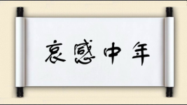 哀感中年