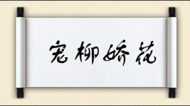 宠柳娇花