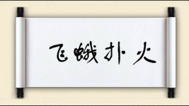 飞蛾扑火对对子图片