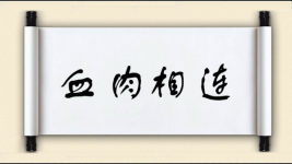 血肉相连对对子图片