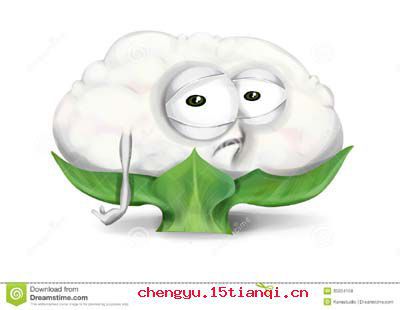 凉了半截的故事图片